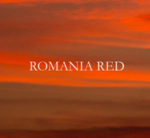 Dominant Industry Romania Red
