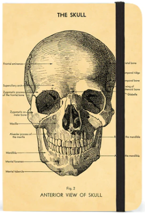 Cavallini Notebook SM Skull