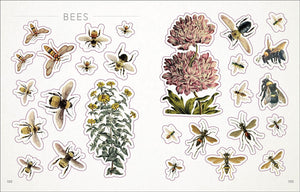 The Bees, Birds & Butterflies Sticker Book