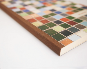 APUNTES Mosaicos Narvarte | Un caos de color  Soft Cover