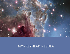 Colorverse Monkeyhead Nebula 65ml