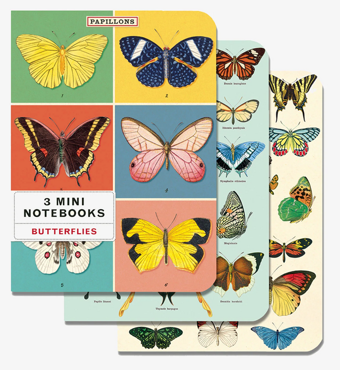 Cavallini Mini Notebooks Set 3 Butterflies