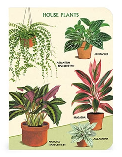 Cavallini Mini Notebooks Set 3 Houseplants