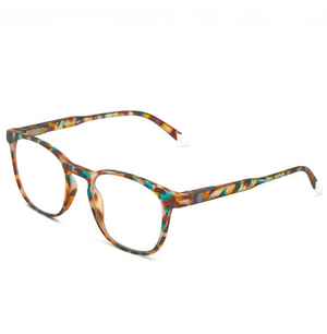 Barner Dalston Light Tortoise Gafas