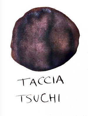 Taccia Tsuchi