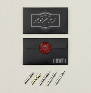 Wearingeul dip nibs set
