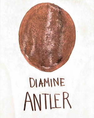 Diamine Antler