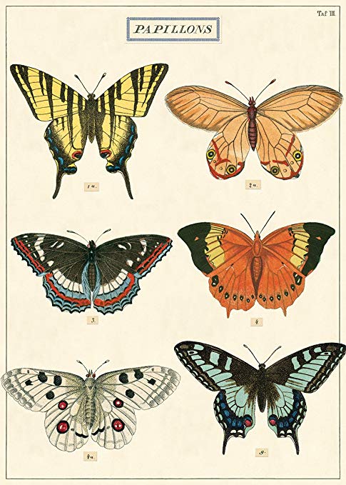 Cavallini Papel Butterflies Chart 2