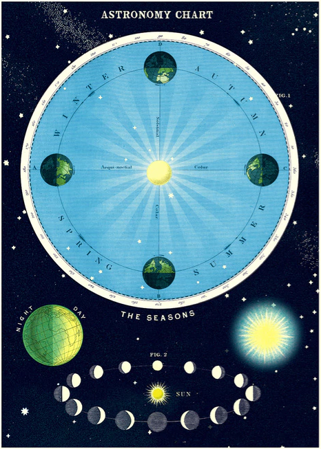 Cavallini Papel Astronomy Chart