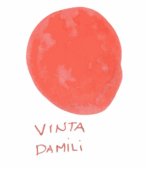 Vinta Damili