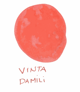 Vinta Damili