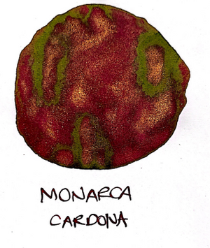 Monarca Cardona