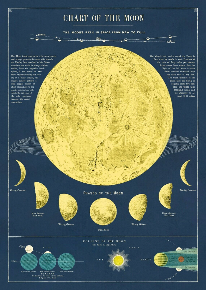 Cavallini Papel Moon Chart