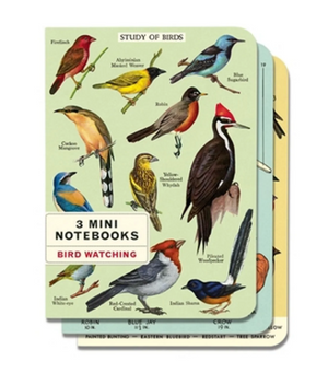 Cavallini Mini Notebooks Set 3 Bird Watching