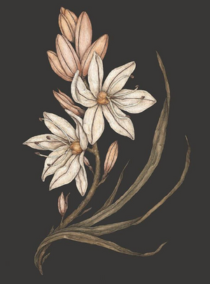 Floriography