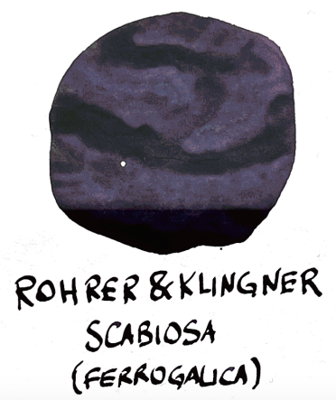 Rohrer & Klingner Scabiosa