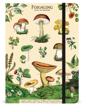 Cavallini Notebook LG Foraging