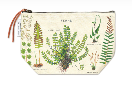 Cavallini Lapicera Ferns