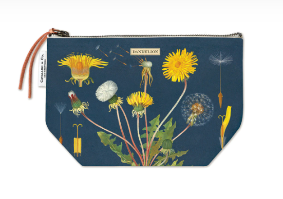 Cavallini Lapicera Dandellion