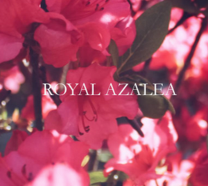 Dominant Industry Royal Azalea