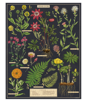 Cavallini Rompecabezas Herbarium