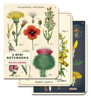 Cavallini Mini Notebooks Set 3 Wildflowers