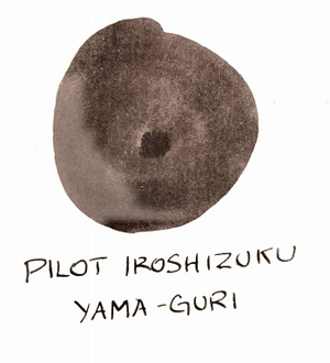 Pilot Iroshizuku Yamaguri